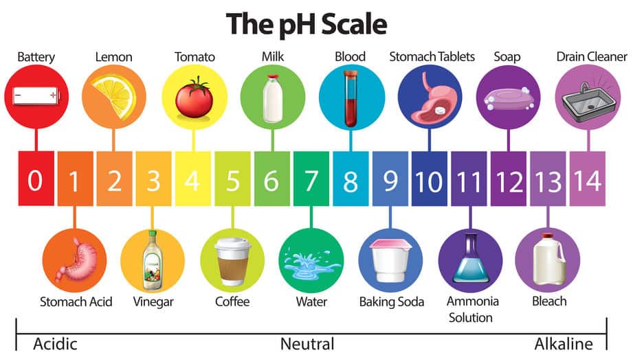 Why Is pH So Important In A Saltwater Pool?