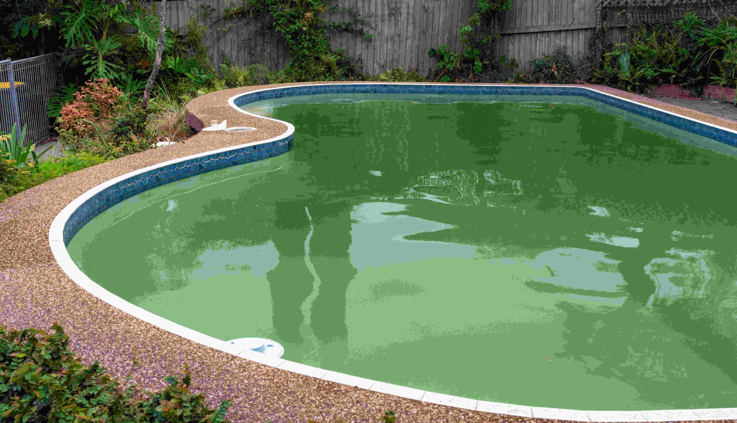 Algaecide Dos and Don'ts for Saltwater Pools: Tips from Pool Maintenance Experts