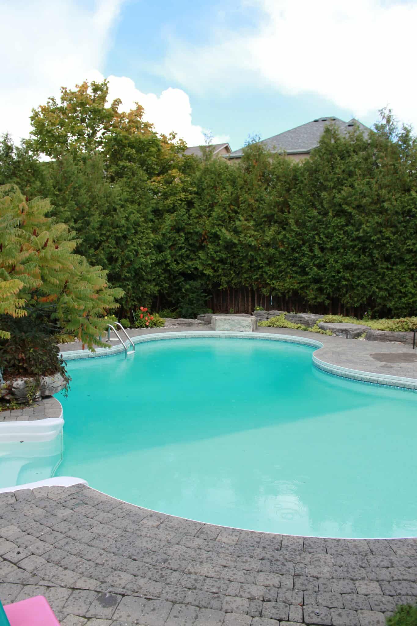 salt water pool cloudy and green